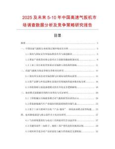 2025及未來5-10年中國高速氣扳機市場調查數據分析及競爭策略研究報告