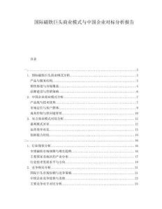 國際磁鐵巨頭商業(yè)模式與中國企業(yè)對標(biāo)分析報告