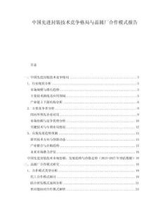 中國先進封裝技術(shù)競爭格局與晶圓廠合作模式報告