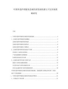 中國養(yǎng)老護(hù)理服務(wù)縣域經(jīng)濟(jì)發(fā)展機(jī)遇與下沉市場策略研究