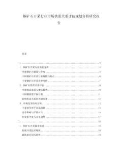 銅礦石開(kāi)采行業(yè)市場(chǎng)供需關(guān)系評(píng)估規(guī)劃分析研究報(bào)告