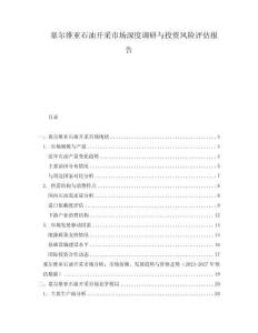 塞爾維亞石油開采市場(chǎng)深度調(diào)研與投資風(fēng)險(xiǎn)評(píng)估報(bào)告