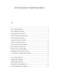 軟件開發(fā)企業(yè)知識產(chǎn)權保護體系分析報告