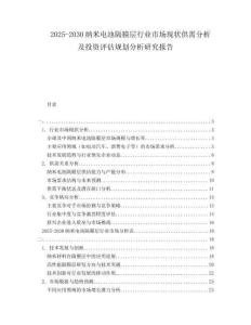 2025-2030納米電池隔膜層行業(yè)市場現(xiàn)狀供需分析及投資評估規(guī)劃分析研究報告