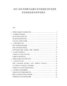 2025-2030美國航空運(yùn)輸行業(yè)市場現(xiàn)狀分析及投資評估規(guī)劃發(fā)展分析研究報告