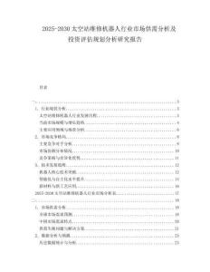 2025-2030太空站維修機(jī)器人行業(yè)市場(chǎng)供需分析及投資評(píng)估規(guī)劃分析研究報(bào)告