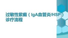過敏性紫癜（IgA血管炎HSP）診療流程