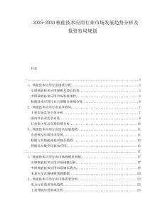 2025-2030核能技術(shù)應(yīng)用行業(yè)市場發(fā)展趨勢分析及投資布局規(guī)劃