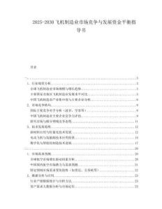 2025-2030飛機制造業(yè)市場競爭與發(fā)展資金平衡指導書