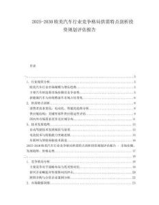 2025-2030歐美汽車(chē)行業(yè)競(jìng)爭(zhēng)格局供需特點(diǎn)剖析投資規(guī)劃評(píng)估報(bào)告