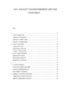 2025-2030紡織產業(yè)傳統(tǒng)轉型激進推進與潛在風險評估技術報告