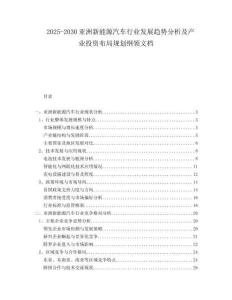 2025-2030亞洲新能源汽車行業(yè)發(fā)展趨勢分析及產(chǎn)業(yè)投資布局規(guī)劃綱領(lǐng)文檔