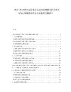 2025-2030城市危險化學(xué)品安全管理體系的升級改造與實(shí)戰(zhàn)演練演練的實(shí)施效果分析報告