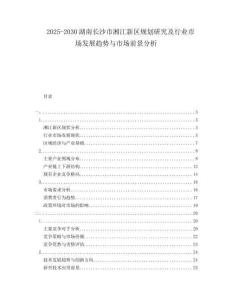 2025-2030湖南長沙市湘江新區(qū)規(guī)劃研究及行業(yè)市場發(fā)展趨勢與市場前景分析