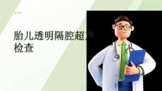 胎兒透明隔腔超聲檢查