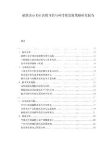 磁鐵企業(yè)ESG表現(xiàn)評(píng)估與可持續(xù)發(fā)展戰(zhàn)略研究報(bào)告