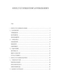 硅基光子芯片封裝技術(shù)突破與應(yīng)用場景拓展報告