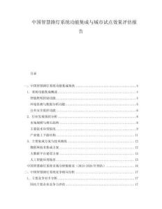 中國智慧路燈系統(tǒng)功能集成與城市試點效果評估報告