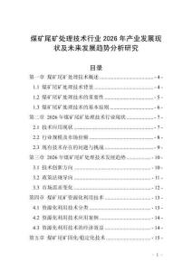 煤礦尾礦處理技術(shù)行業(yè)2026年產(chǎn)業(yè)發(fā)展現(xiàn)狀及未來(lái)發(fā)展趨勢(shì)分析研究