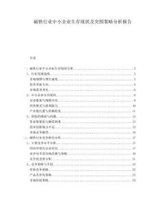 磁鐵行業(yè)中小企業(yè)生存現(xiàn)狀及突圍策略分析報告