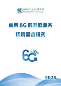 2025年面向 6G 的開(kāi)放業(yè)務(wù)環(huán)境需求研究+IMT-2030（6G）推進(jìn)組
