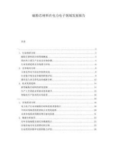 磁粉芯材料在電力電子領(lǐng)域發(fā)展報(bào)告