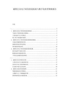 磁鐵行業(yè)電子商務(wù)渠道拓展與數(shù)字化轉(zhuǎn)型策略報告