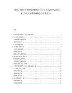 2025-2030中國(guó)智能網(wǎng)聯(lián)汽車(chē)行業(yè)市場(chǎng)競(jìng)爭(zhēng)態(tài)勢(shì)分析及投資前景發(fā)展趨勢(shì)研究報(bào)告