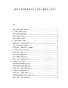 磁鐵行業(yè)并購(gòu)重組案例與資本運(yùn)作模式分析報(bào)告