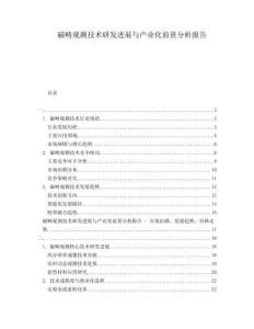 磁疇觀測(cè)技術(shù)研發(fā)進(jìn)展與產(chǎn)業(yè)化前景分析報(bào)告