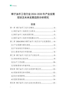 椰子油手工皂行業(yè)2026-2030年產(chǎn)業(yè)發(fā)展現(xiàn)狀及未來發(fā)展趨勢分析研究