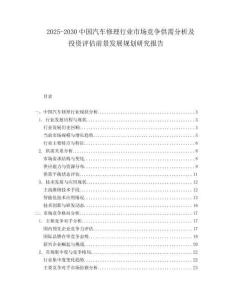2025-2030中國(guó)汽車修理行業(yè)市場(chǎng)競(jìng)爭(zhēng)供需分析及投資評(píng)估前景發(fā)展規(guī)劃研究報(bào)告