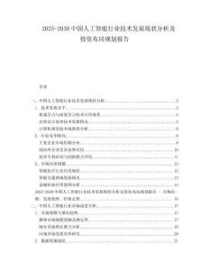2025-2030中國人工智能行業(yè)技術(shù)發(fā)展現(xiàn)狀分析及投資布局規(guī)劃報告