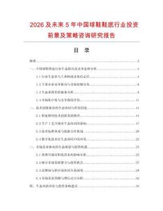 2026及未來5年中國球鞋鞋底行業(yè)投資前景及策略咨詢研究報告