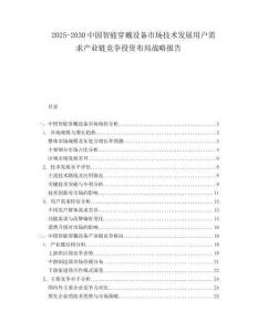 2025-2030中國(guó)智能穿戴設(shè)備市場(chǎng)技術(shù)發(fā)展用戶需求產(chǎn)業(yè)鏈競(jìng)爭(zhēng)投資布局戰(zhàn)略報(bào)告