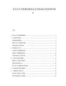 硅光芯片封裝測試挑戰(zhàn)及光電集成技術(shù)發(fā)展路徑報(bào)告