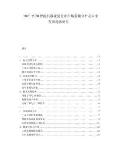 2025-2030智能機(jī)器視覺行業(yè)市場(chǎng)前瞻分析及未來發(fā)展趨勢(shì)研究