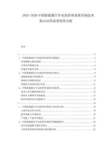 2025-2030中國新能源汽車電池管理系統(tǒng)市場(chǎng)技術(shù)特點(diǎn)應(yīng)用前景投資分析