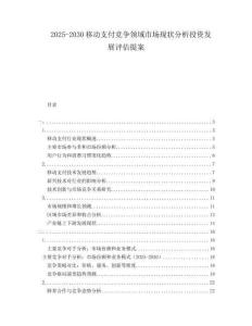 2025-2030移動(dòng)支付競(jìng)爭(zhēng)領(lǐng)域市場(chǎng)現(xiàn)狀分析投資發(fā)展評(píng)估提案