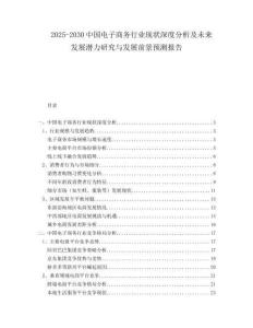 2025-2030中國電子商務(wù)行業(yè)現(xiàn)狀深度分析及未來發(fā)展?jié)摿ρ芯颗c發(fā)展前景預(yù)測報告