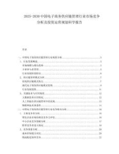 2025-2030中國電子商務(wù)供應(yīng)鏈管理行業(yè)市場競爭分析及投資運(yùn)營規(guī)劃科學(xué)報(bào)告