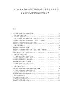 2025-2030中東汽車零部件行業(yè)市場(chǎng)詳盡分析及競(jìng)爭(zhēng)態(tài)勢(shì)與未來發(fā)展方向研究報(bào)告