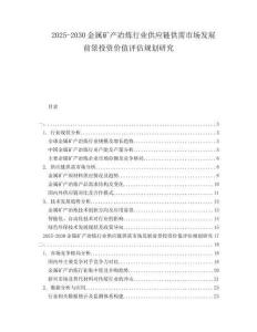 2025-2030金屬礦產冶煉行業(yè)供應鏈供需市場發(fā)展前景投資價值評估規(guī)劃研究