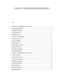 中國農(nóng)業(yè)無人機噴灑服務(wù)市場規(guī)范化發(fā)展報告
