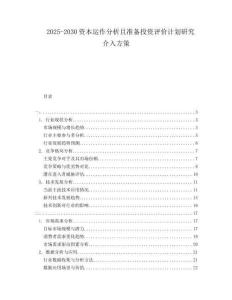 2025-2030資本運作分析且準備投資評價計劃研究介入方策
