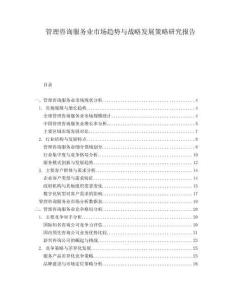 管理咨詢服務(wù)業(yè)市場(chǎng)趨勢(shì)與戰(zhàn)略發(fā)展策略研究報(bào)告