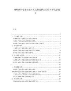 海峽兩岸電子招投標(biāo)互認(rèn)制度試點(diǎn)經(jīng)驗(yàn)詳解優(yōu)惠建設(shè)