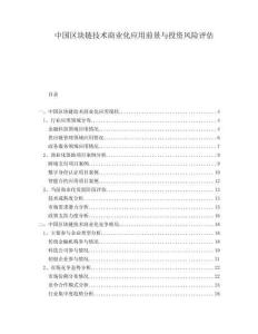 中國區(qū)塊鏈技術(shù)商業(yè)化應(yīng)用前景與投資風(fēng)險評估