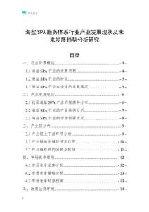 海鹽SPA服務(wù)體系行業(yè)產(chǎn)業(yè)發(fā)展現(xiàn)狀及未來(lái)發(fā)展趨勢(shì)分析研究