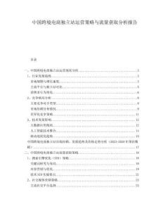 中國跨境電商獨立站運營策略與流量獲取分析報告